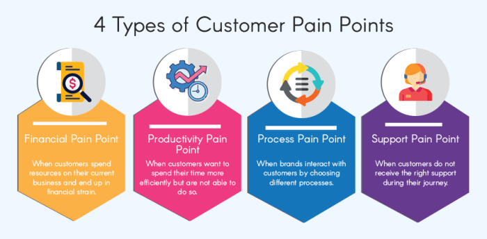 Understanding Customer Pain Points