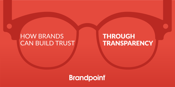 Building Trust Through Transparency