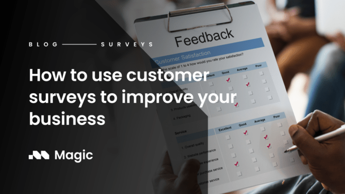 Using Customer Surveys in Strategy