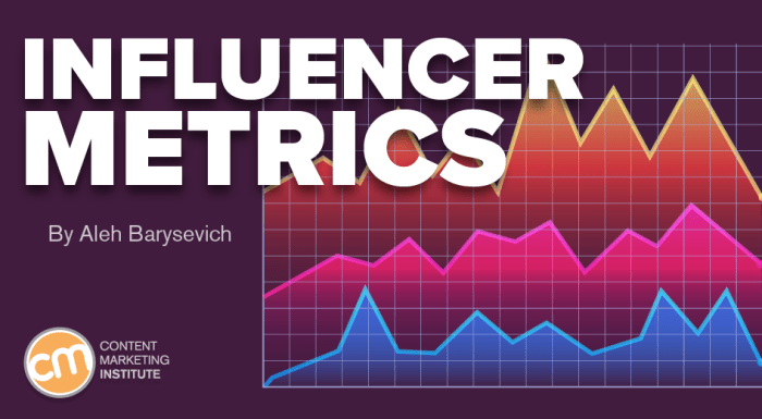 Influencer Marketing Metrics