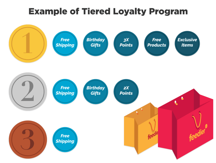 Designing Customer Loyalty Programs